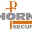 thorne-security.com