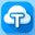 t