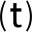 t