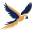 j