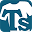 t