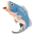 j