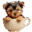 j