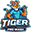 tigerprowash.com