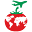 tomatoholidays.in