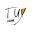 t