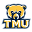 tmbears.com