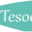 tesool.com