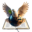 t