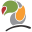 tajbirds.com