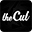 thecut.co