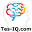 tes-iq.com