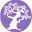 twistedtreeyoga.org