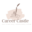 thecareercastle.com