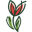 tulips.com.ua