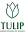 tulipcorretora.com.br