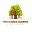 thehiddenburrow.com