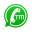 tmwhatsapp.net
