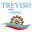 trevisotours.com