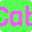 thecabbageshop.org