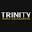 trinitypavingmi.com