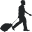 TravelGate favicon