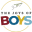 thejoysofboys.com