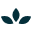 tryadonis.com