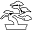 thebonsaimaster.com