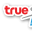 truenetfiber.com