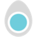 Electric Egg